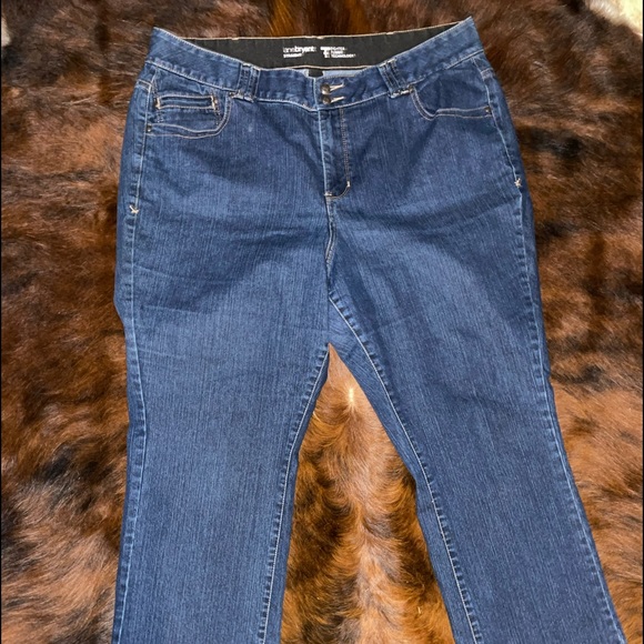 Lane Bryant Denim - Lane Bryant Double Button Blue Jeans